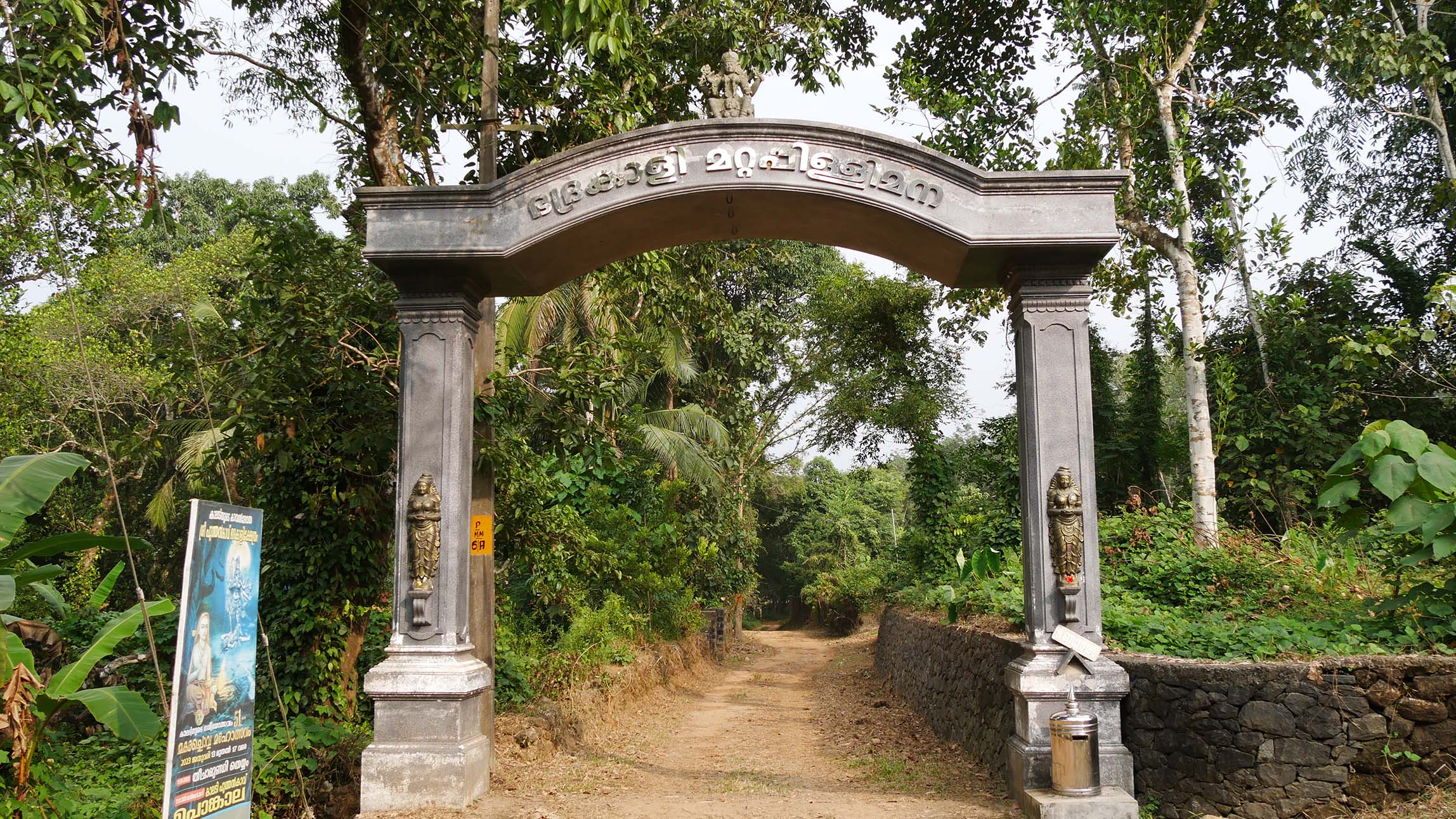 Rubber plantation