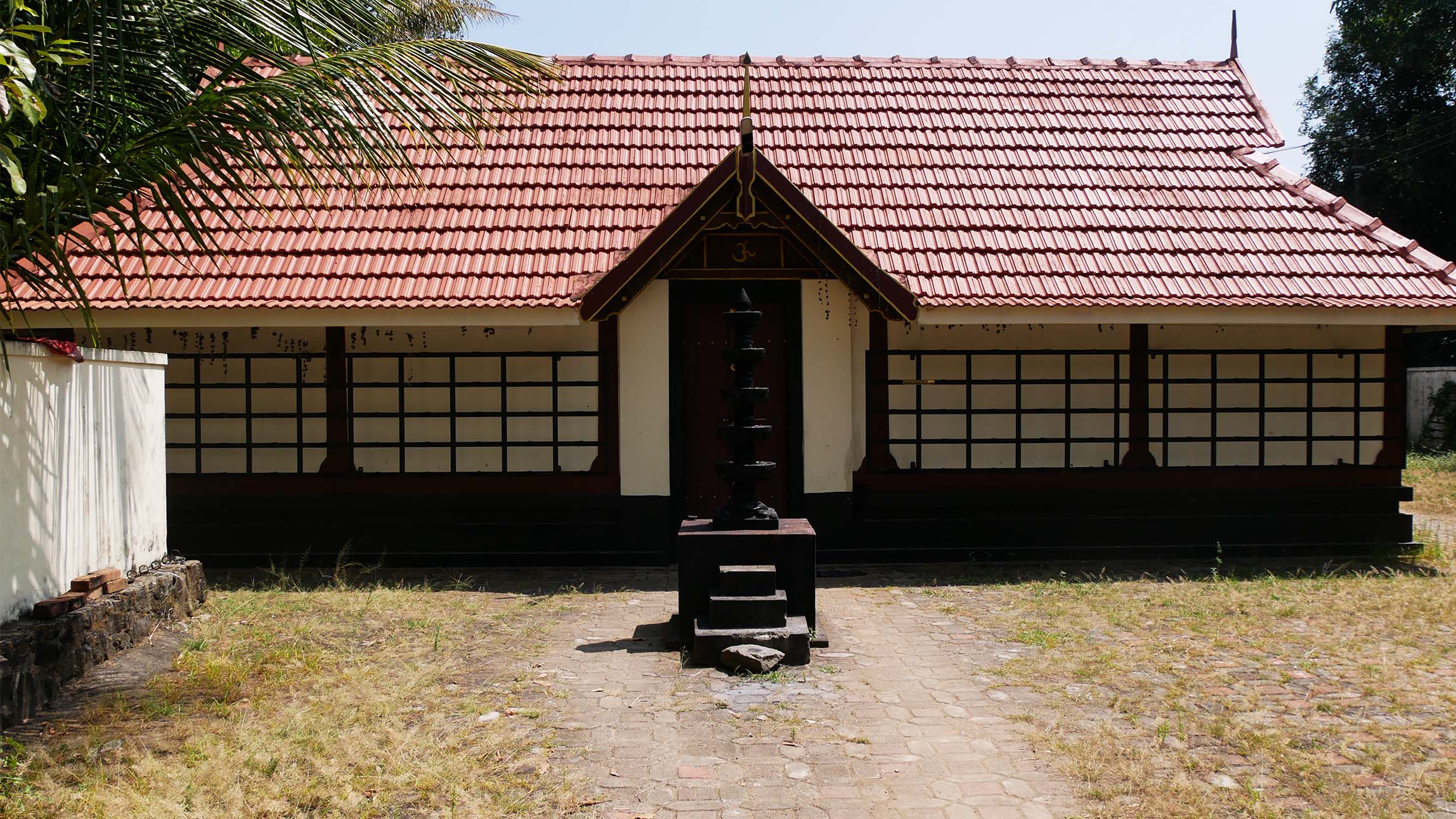 Rubber plantation