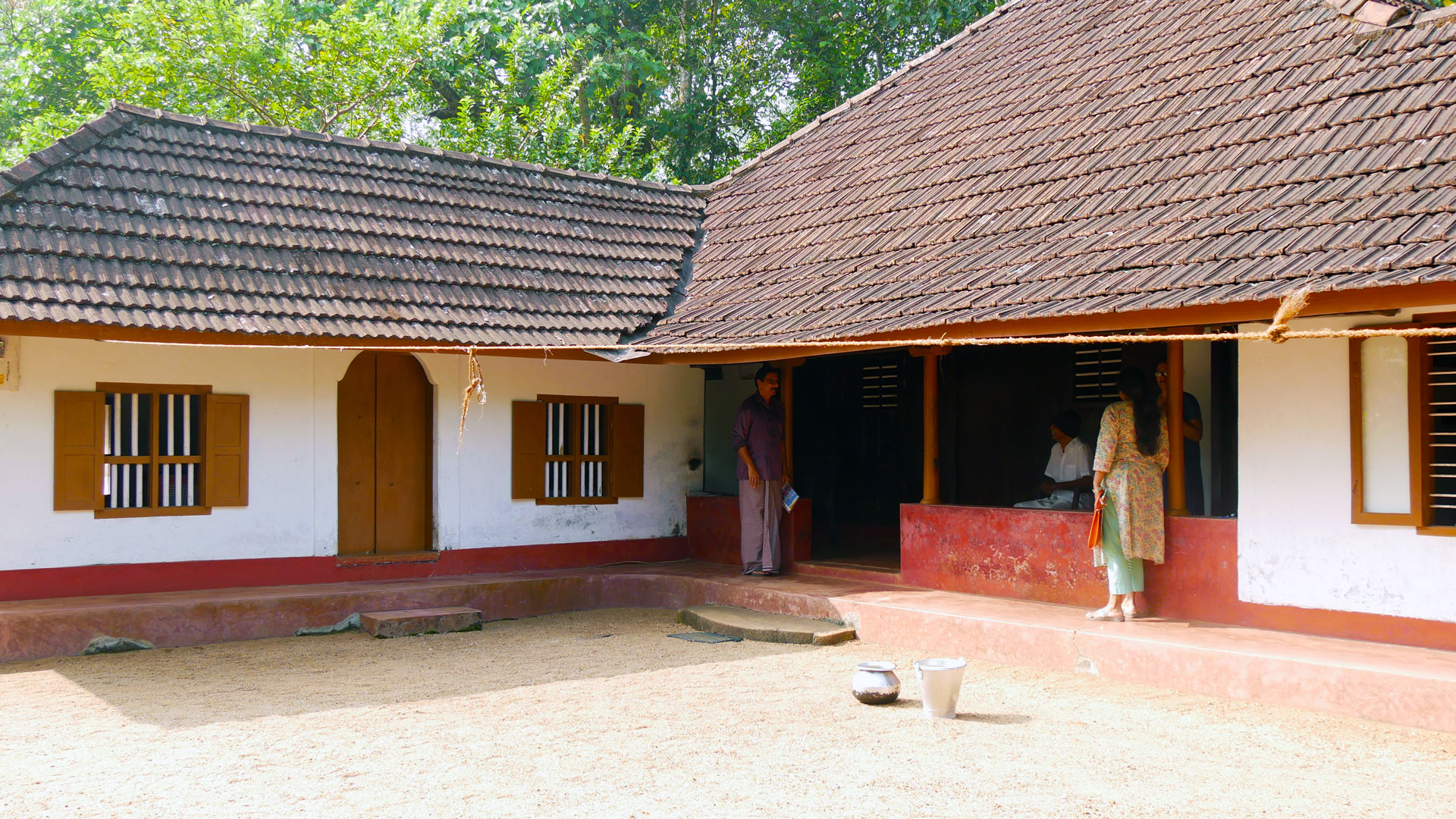 Rubber plantation