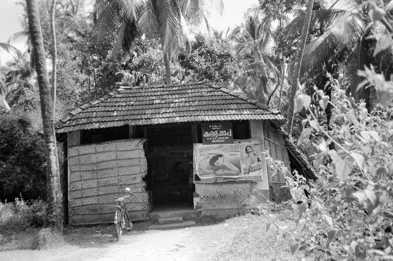 Rubber plantation