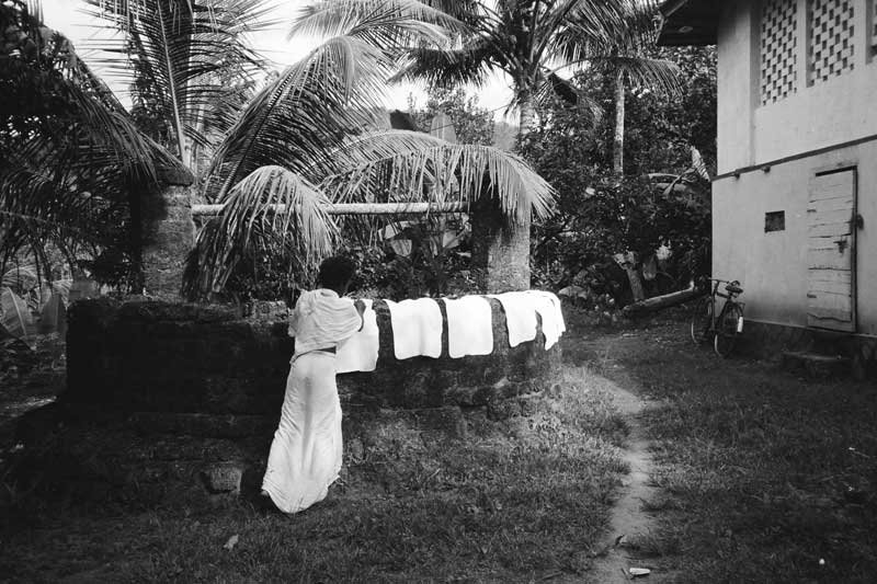 Rubber plantation